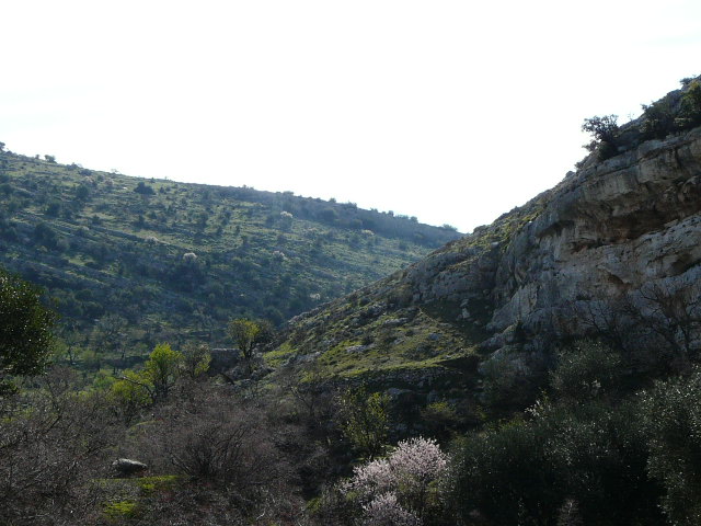 Monte Ividori con valle di Vituro...e vista sul Tavoliere